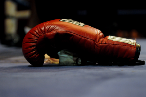 Mayweather Domestic Violence