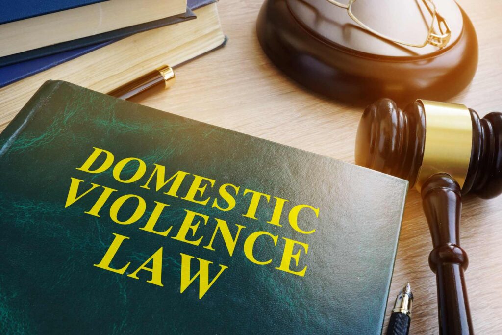 DV Book domestic violence law book